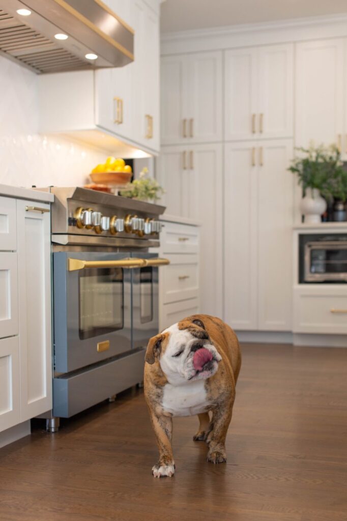 dog flooring